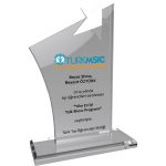 EKT-100 Kristal Plaket