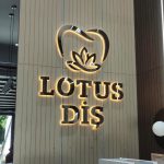 Lotus Diş Işıklı Gümüş Krom Paslanmaz Kutu Harf Tabelası