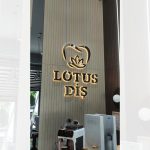 Lotus Diş Işıklı Gümüş Krom Paslanmaz Kutu Harf Tabelası - Görsel 3
