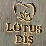 Lotus Diş Işıklı Gümüş Krom Paslanmaz Kutu Harf Tabelası - Görsel 4