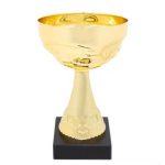 Ödül Kupası TRK420