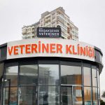Özel Başakşehir Veteriner Pleksi Kutu Harf Tabelası